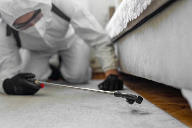 Professional Termite Control technician working in Carterville, IL