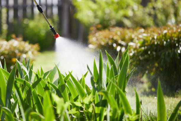 24/7 Emergency Termite Control experts in Carterville, IL