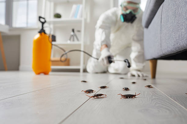 Trusted Termite Control service in Carterville, IL - Nex Pest Control