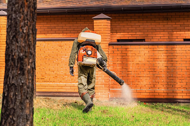 Trusted Termite Control service in Carterville, IL - Nex Pest Control